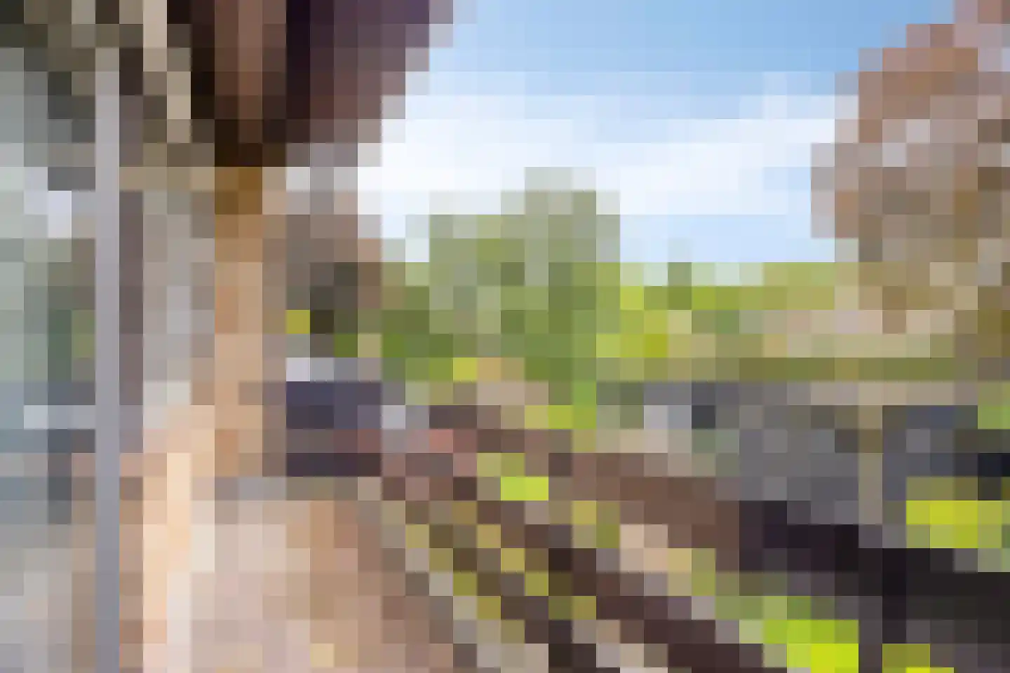 Thorbeckelaan 31 Barneveld thumbnail 50