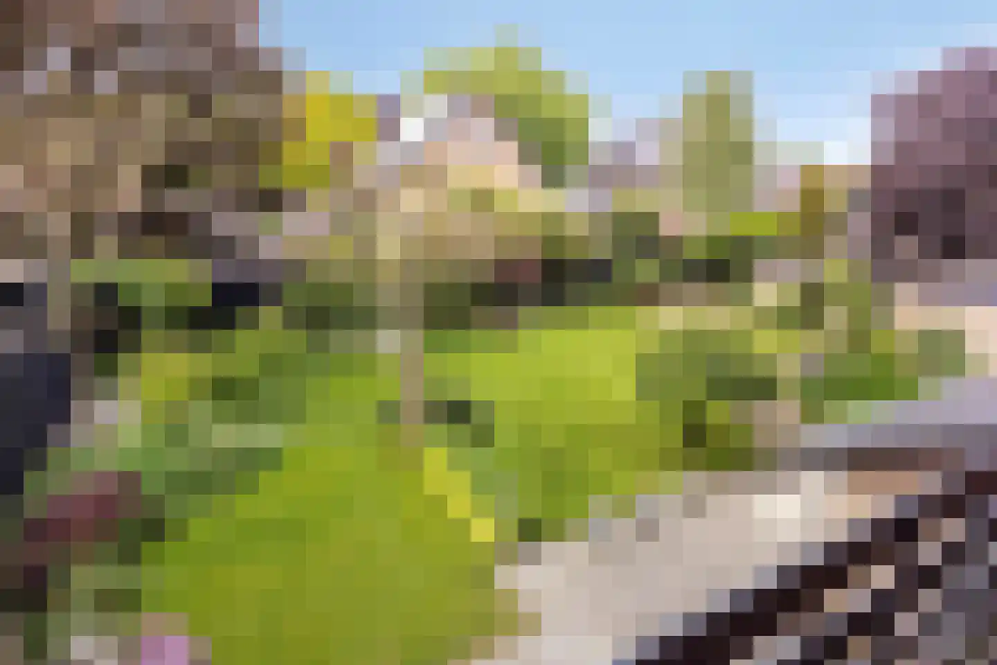 Thorbeckelaan 31 Barneveld thumbnail 52