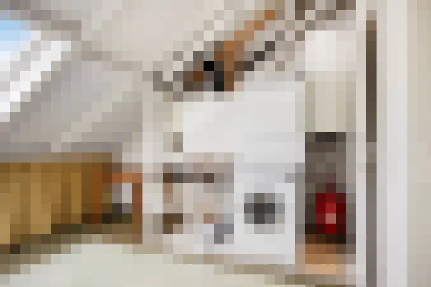 Thorbeckelaan 31 Barneveld thumbnail 67