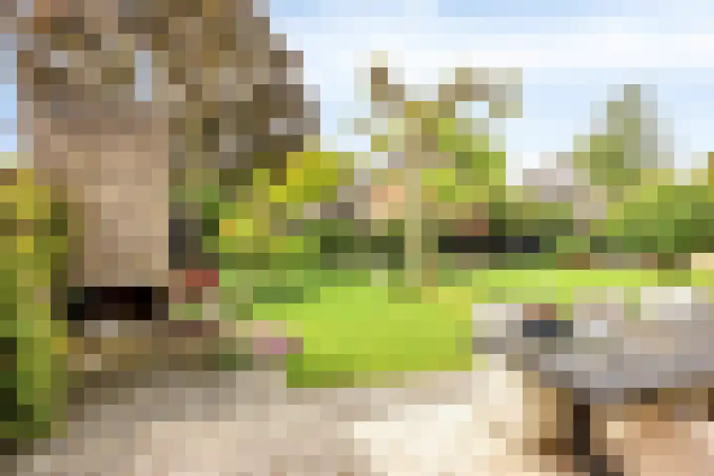 Thorbeckelaan 31 Barneveld thumbnail 68