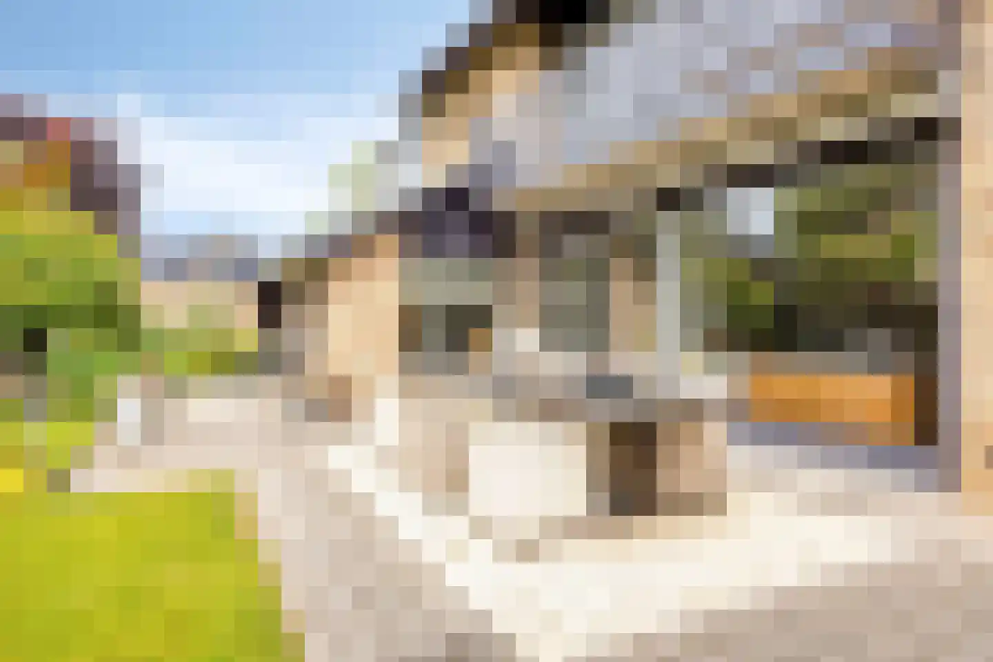 Thorbeckelaan 31 Barneveld thumbnail 69