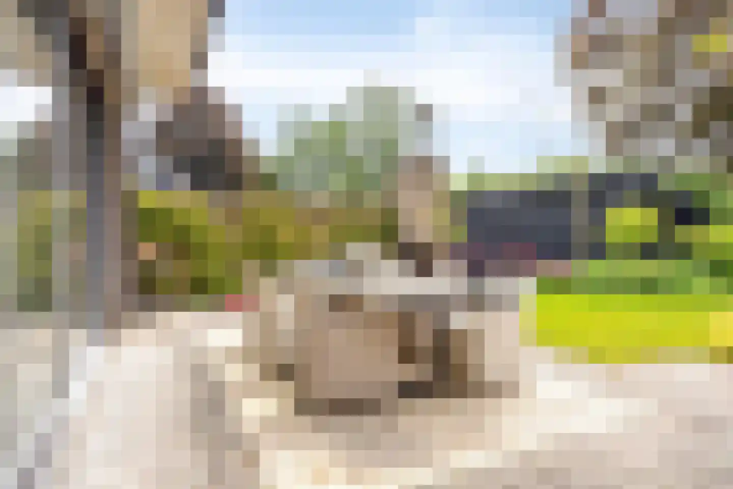 Thorbeckelaan 31 Barneveld thumbnail 70