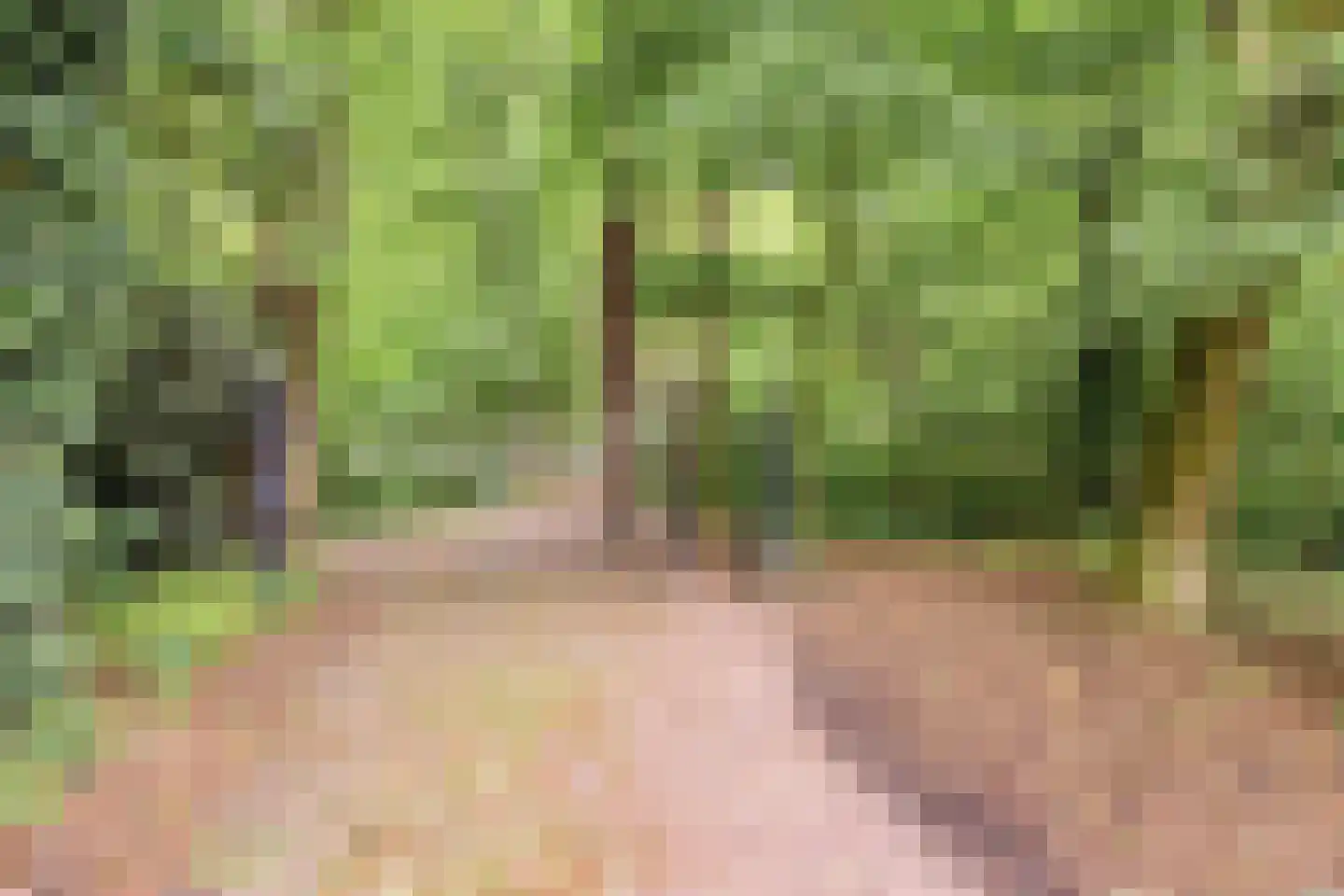 Thorbeckelaan 31 Barneveld thumbnail 80
