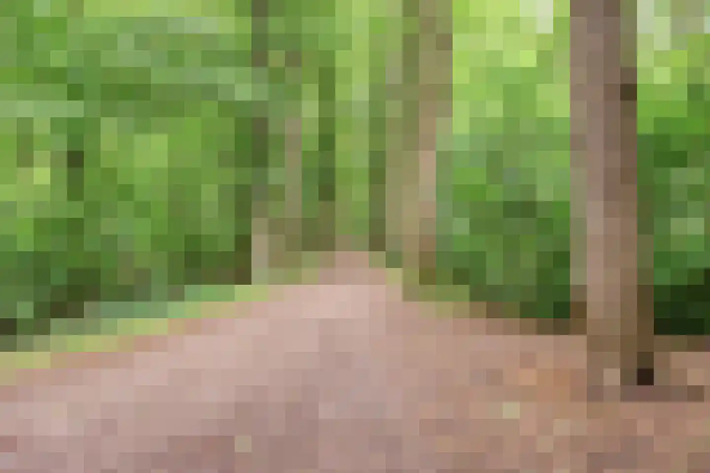 Thorbeckelaan 31 Barneveld thumbnail 81