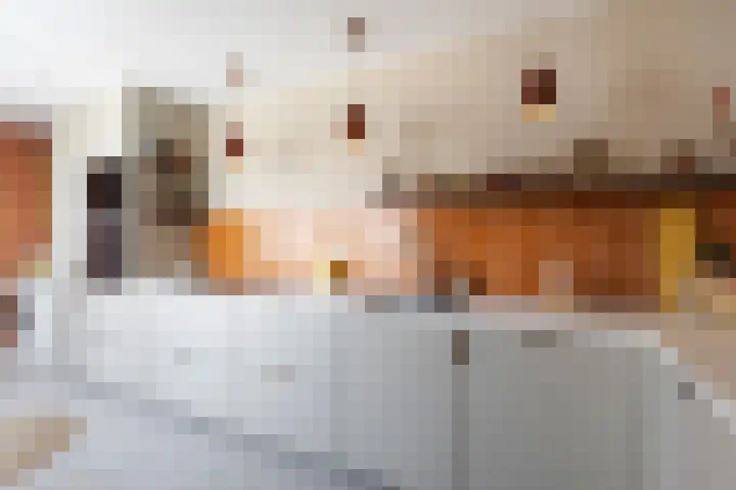 Thorbeckelaan 31 Sliedrecht thumbnail 5