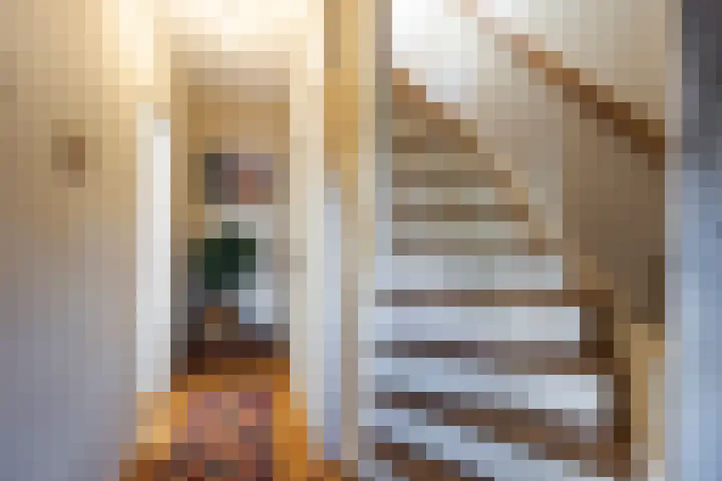 Thorbeckelaan 31 Sliedrecht thumbnail 8