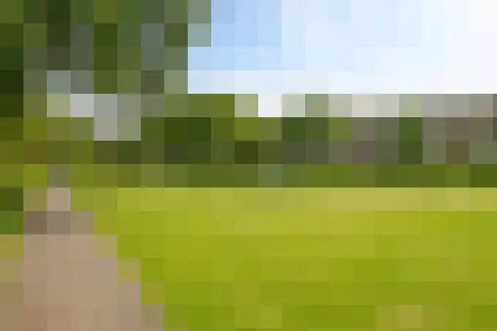 Thorbeckelaan 310 Den Haag thumbnail 42
