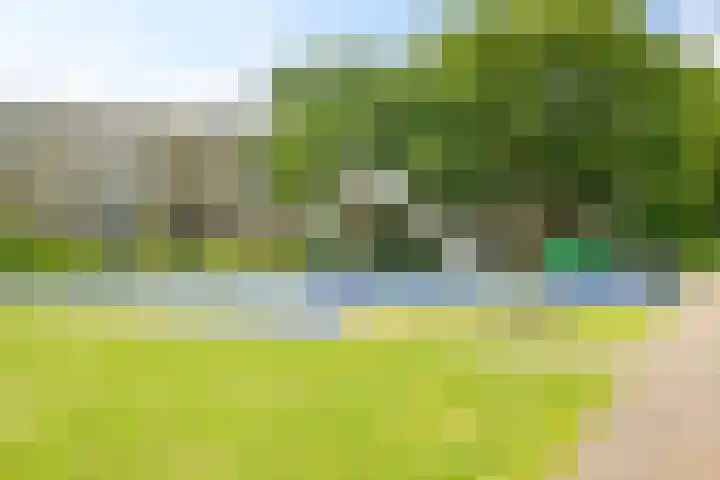 Thorbeckelaan 310 Den Haag thumbnail 43
