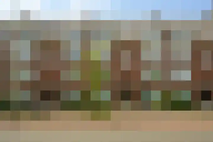 Thorbeckelaan 310 Den Haag thumbnail 6