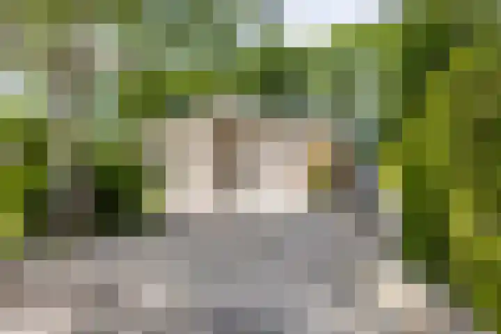 Thorbeckelaan 33 Groningen