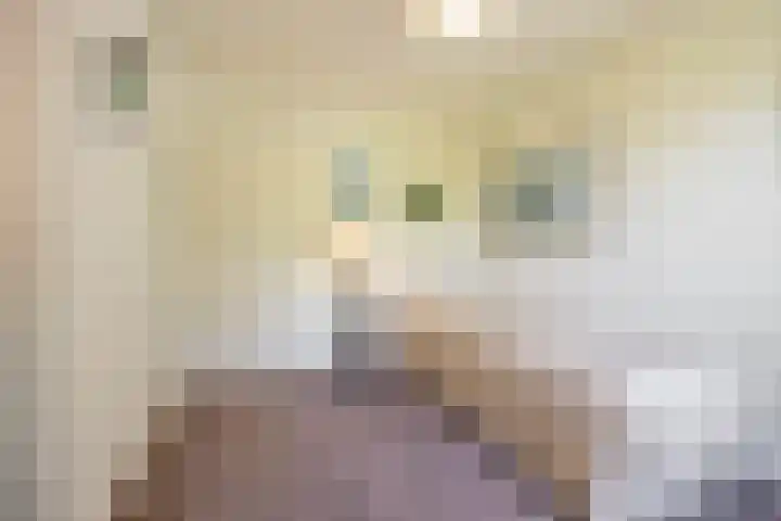Thorbeckelaan 33 Groningen thumbnail 24