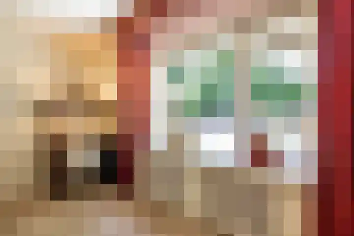 Thorbeckelaan 33 Groningen thumbnail 28