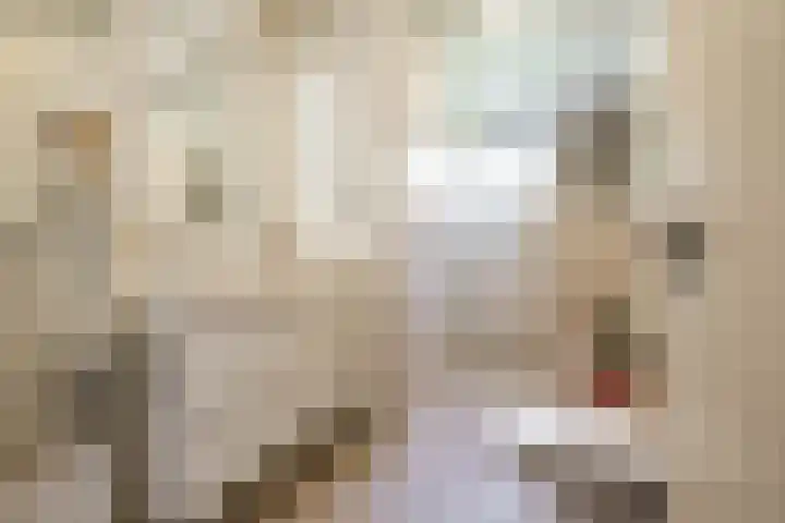 Thorbeckelaan 33 Groningen thumbnail 31