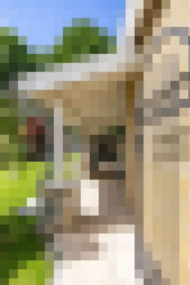 Thorbeckelaan 33 Groningen thumbnail 38