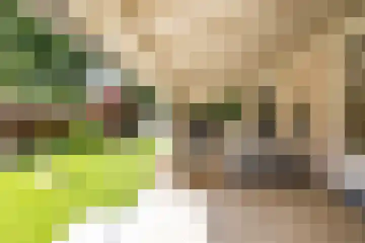 Thorbeckelaan 33 Groningen thumbnail 39