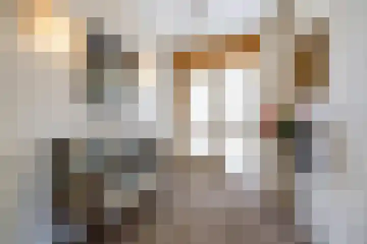 Thorbeckelaan 33 Groningen thumbnail 4