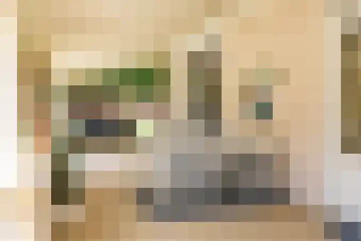 Thorbeckelaan 33 Groningen thumbnail 40