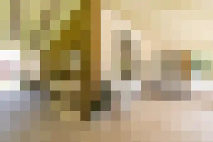 Thorbeckelaan 33 Groningen thumbnail 44