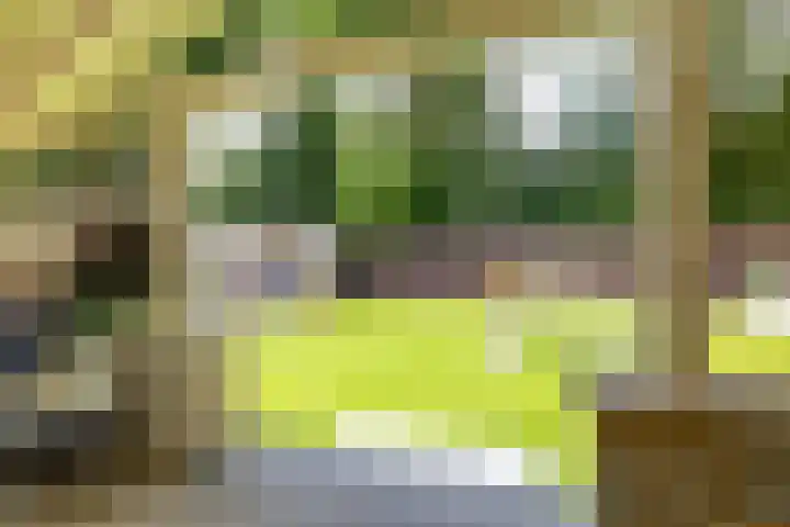 Thorbeckelaan 33 Groningen thumbnail 46