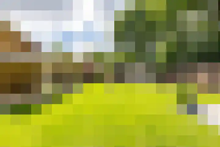Thorbeckelaan 33 Groningen thumbnail 47