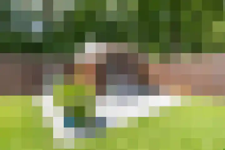 Thorbeckelaan 33 Groningen thumbnail 49