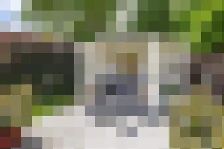 Thorbeckelaan 33 Groningen thumbnail 51