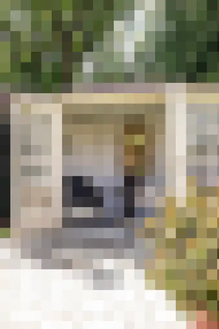 Thorbeckelaan 33 Groningen thumbnail 52