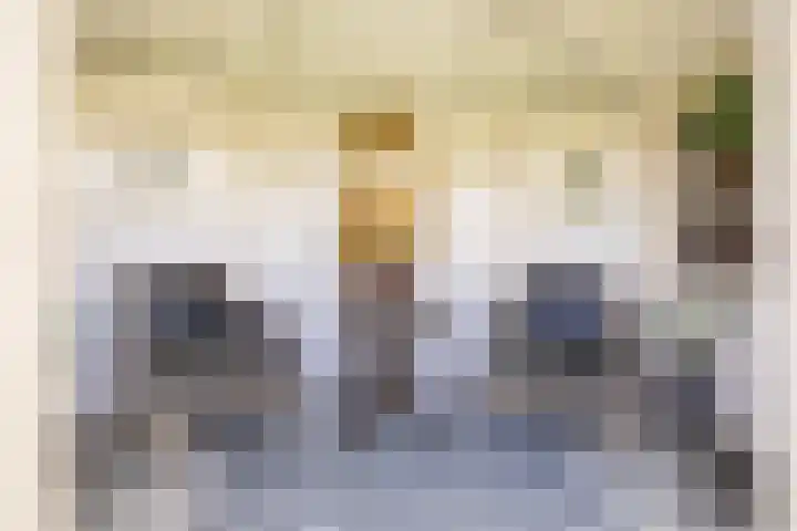 Thorbeckelaan 33 Groningen thumbnail 53