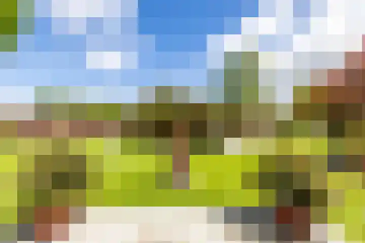 Thorbeckelaan 33 Groningen thumbnail 55