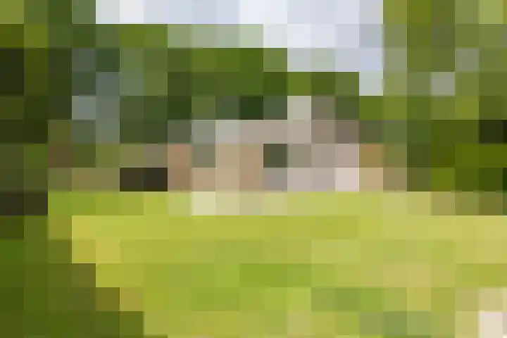 Thorbeckelaan 33 Groningen thumbnail 58
