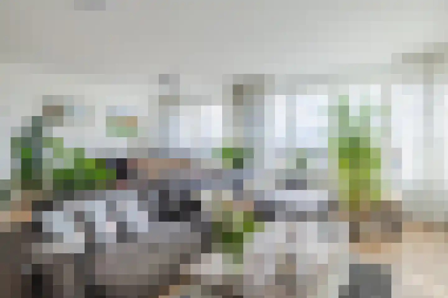 Thorbeckelaan 331 Assen thumbnail 16