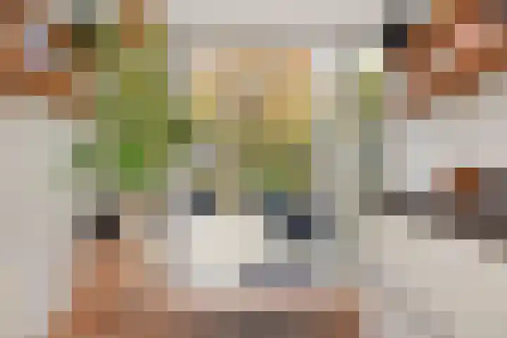 Thorbeckelaan 331 Den Haag thumbnail 18
