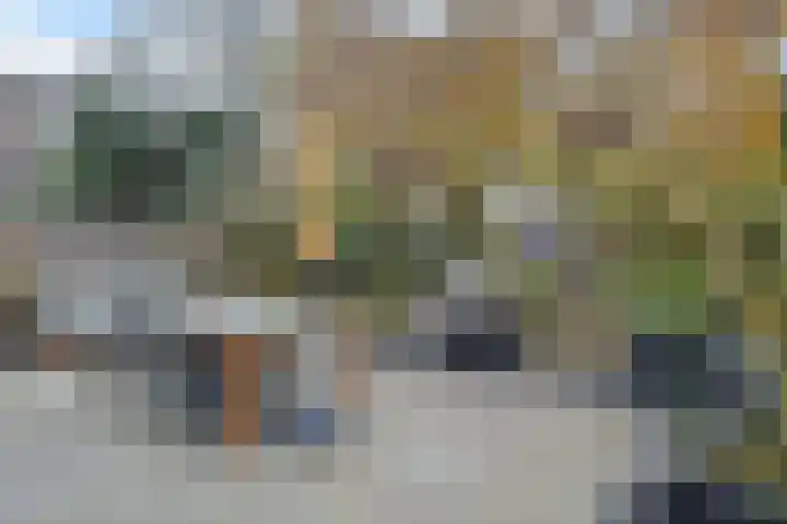 Thorbeckelaan 331 Den Haag thumbnail 19