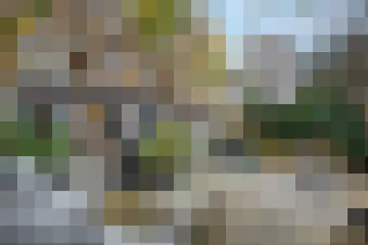 Thorbeckelaan 331 Den Haag thumbnail 21