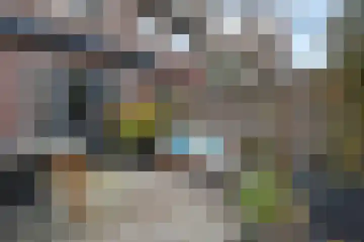 Thorbeckelaan 331 Den Haag thumbnail 38