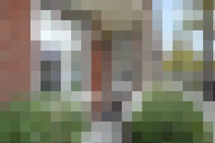 Thorbeckelaan 331 Den Haag thumbnail 4