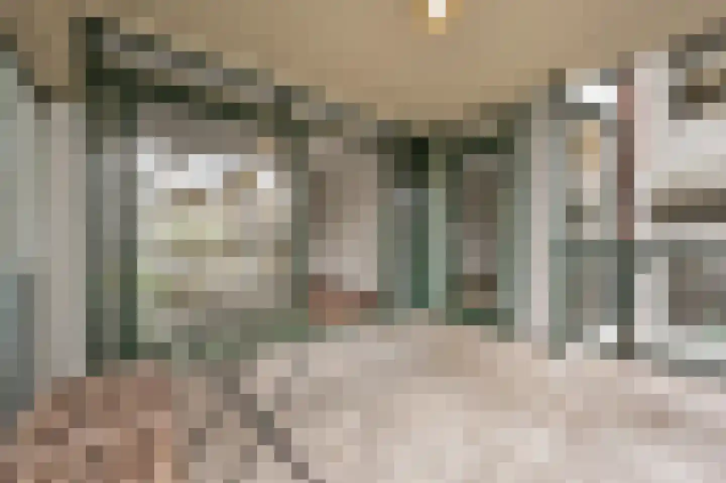 Thorbeckelaan 332 C Den Haag thumbnail 17