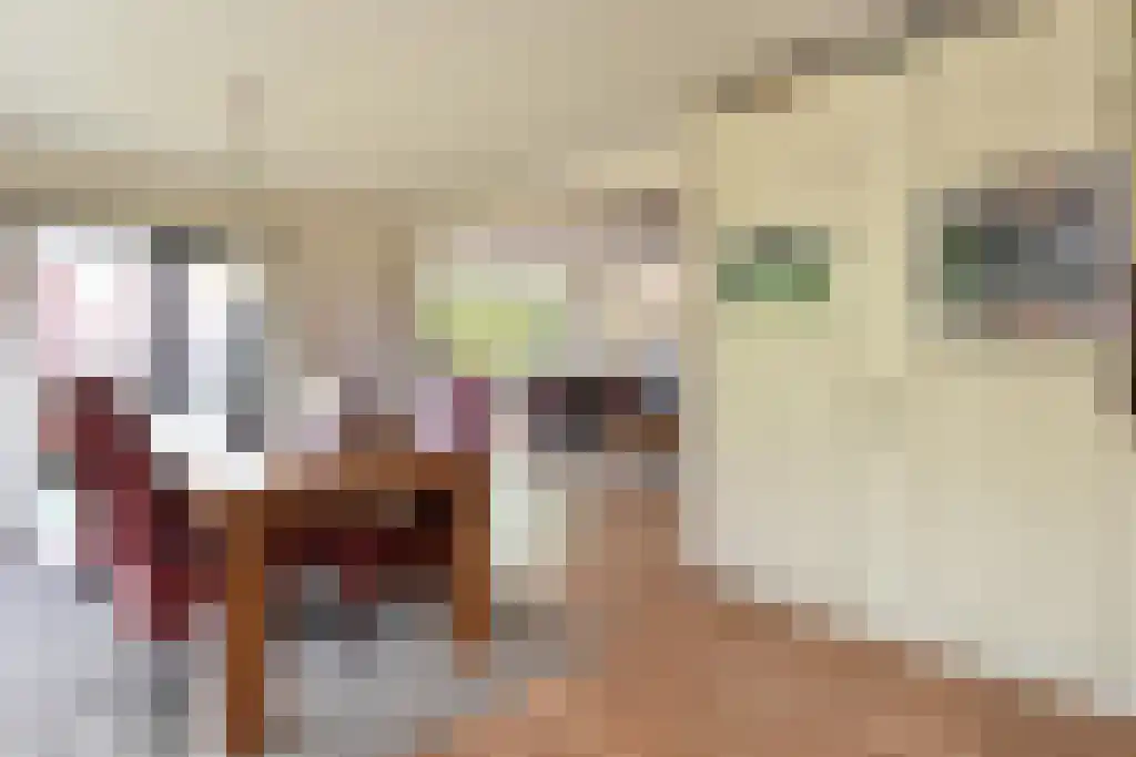Thorbeckelaan 332 C Den Haag thumbnail 18