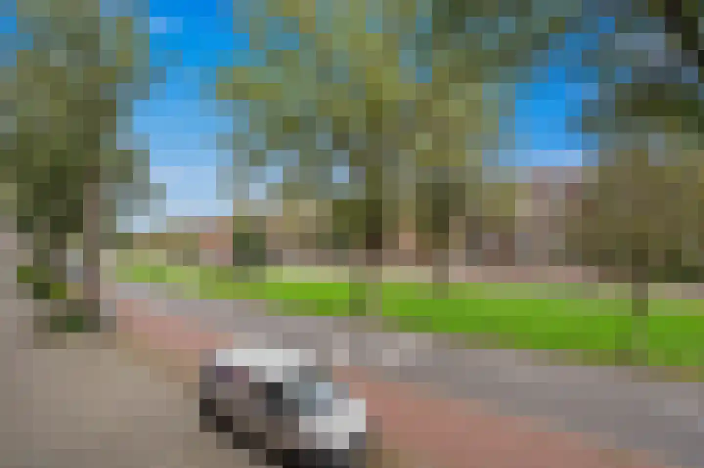 Thorbeckelaan 332 C Den Haag thumbnail 37