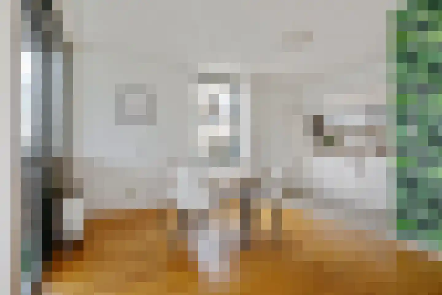 Thorbeckelaan 334 D Den Haag thumbnail 12