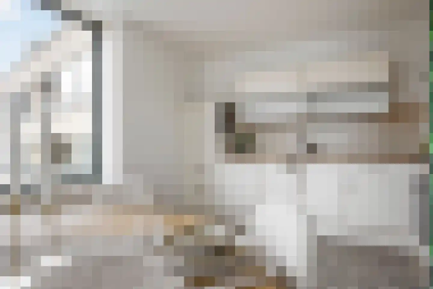 Thorbeckelaan 334 D Den Haag thumbnail 13