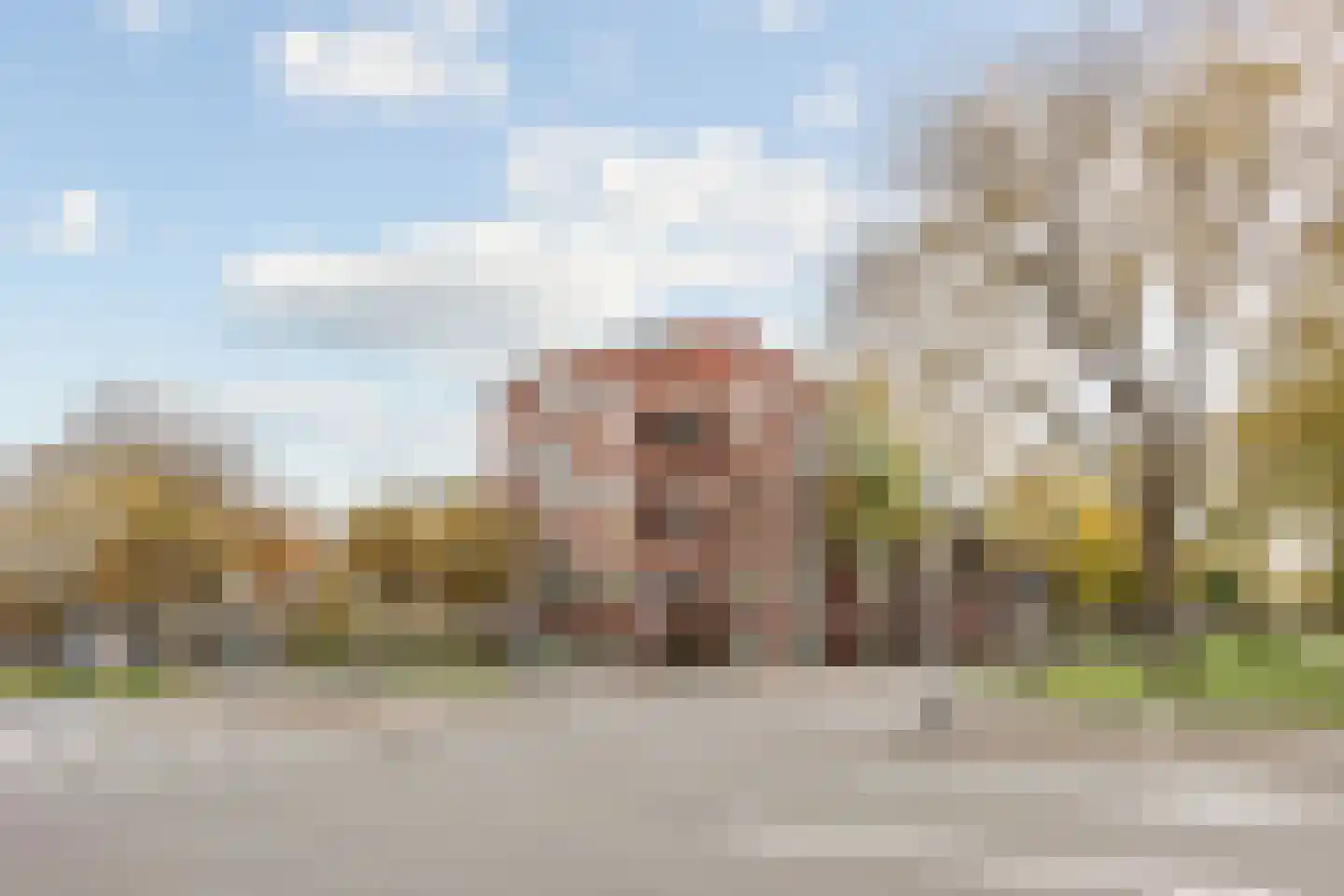Thorbeckelaan 334 D Den Haag thumbnail 35