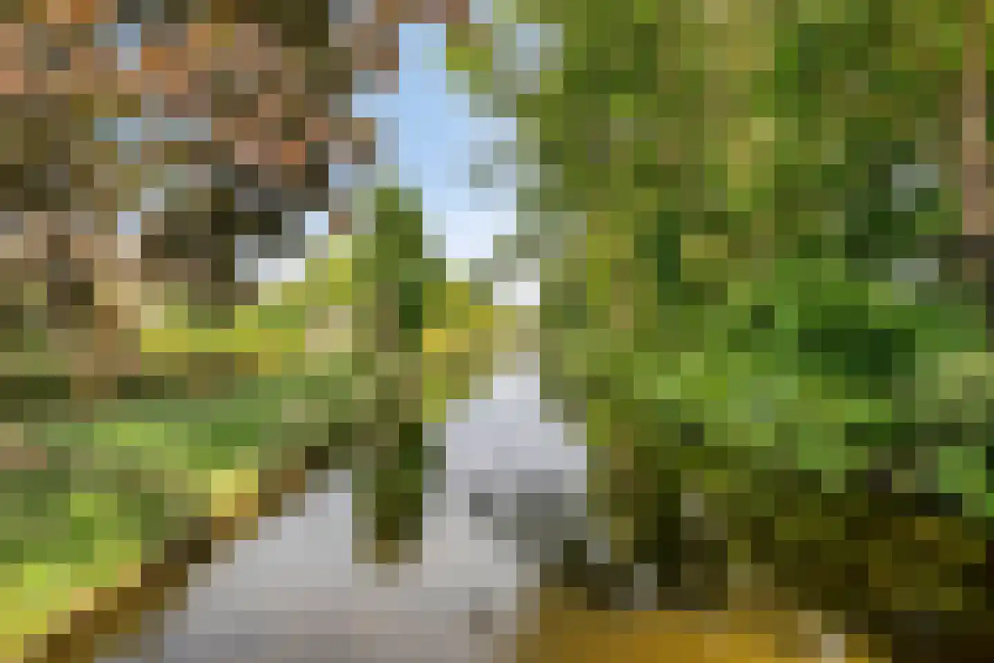 Thorbeckelaan 34 Hillegom thumbnail 26
