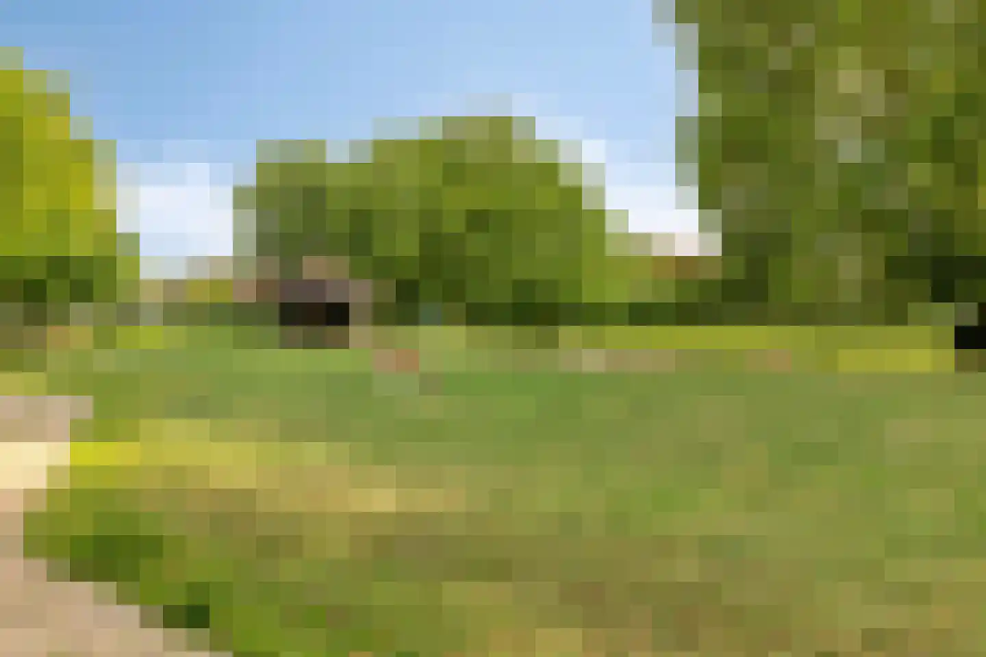 Thorbeckelaan 34 Hillegom thumbnail 28