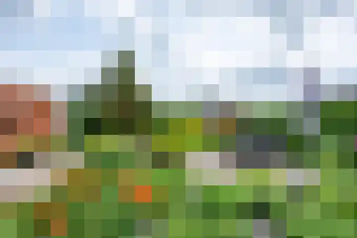 Thorbeckelaan 34 Oude Pekela thumbnail 53