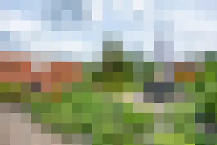 Thorbeckelaan 34 Oude Pekela thumbnail 54