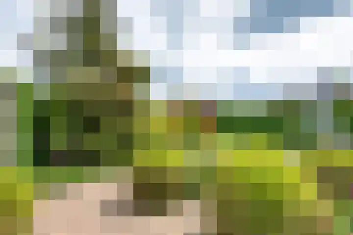 Thorbeckelaan 34 Oude Pekela thumbnail 56