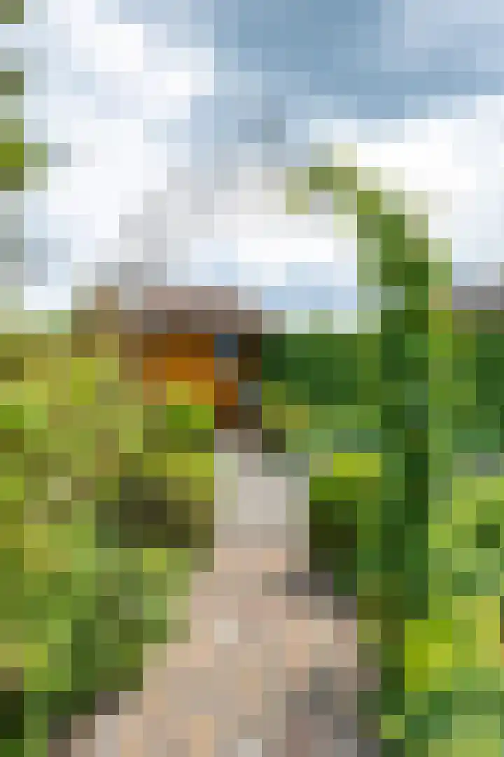 Thorbeckelaan 34 Oude Pekela thumbnail 58
