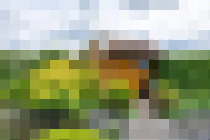 Thorbeckelaan 34 Oude Pekela thumbnail 59