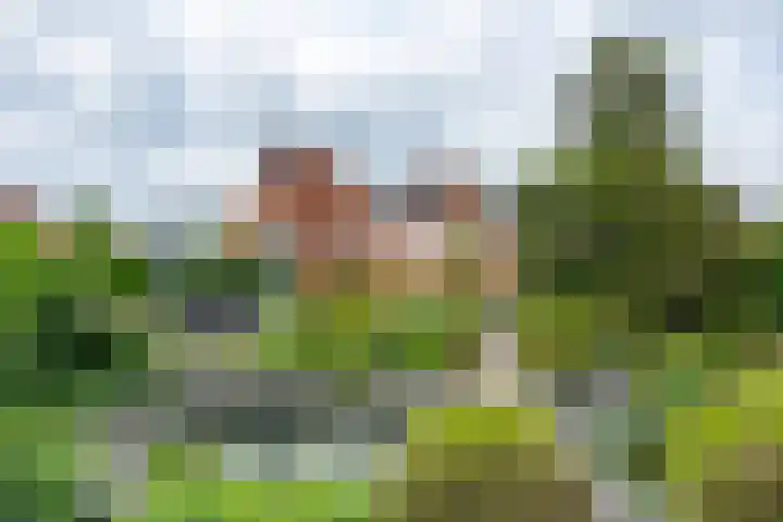 Thorbeckelaan 34 Oude Pekela thumbnail 62